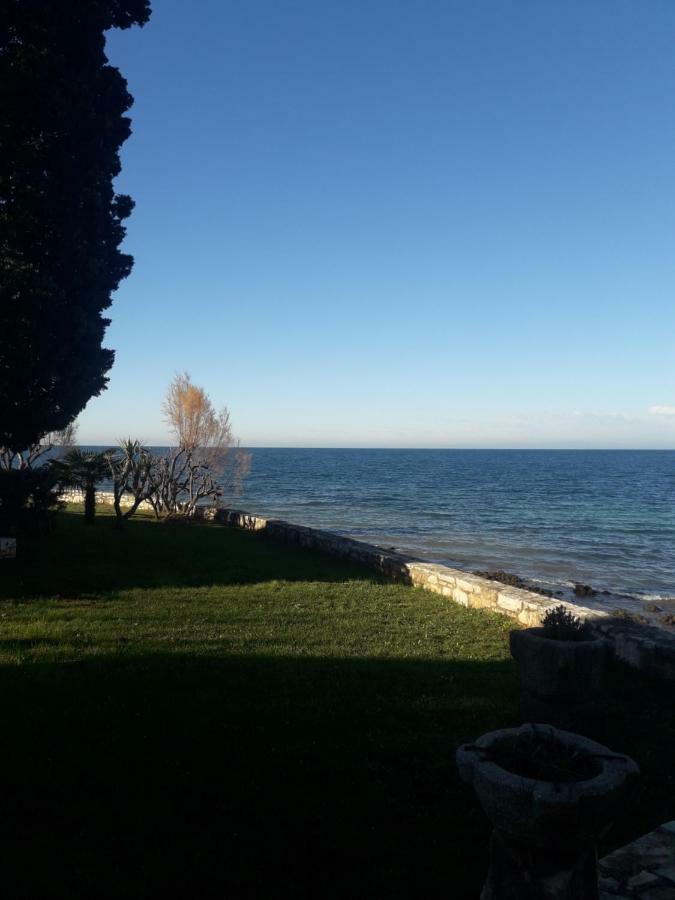 Dajla 66 Villa Dış mekan fotoğraf